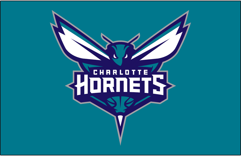 Charlotte Hornets 2014-Pres Primary Dark Logo t shirts DIY iron ons